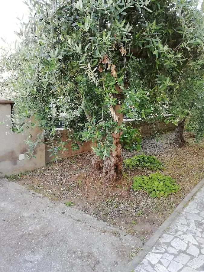 Homestay La Lenzerina Casa Indipendente Con Giardino Apartment Scarlino