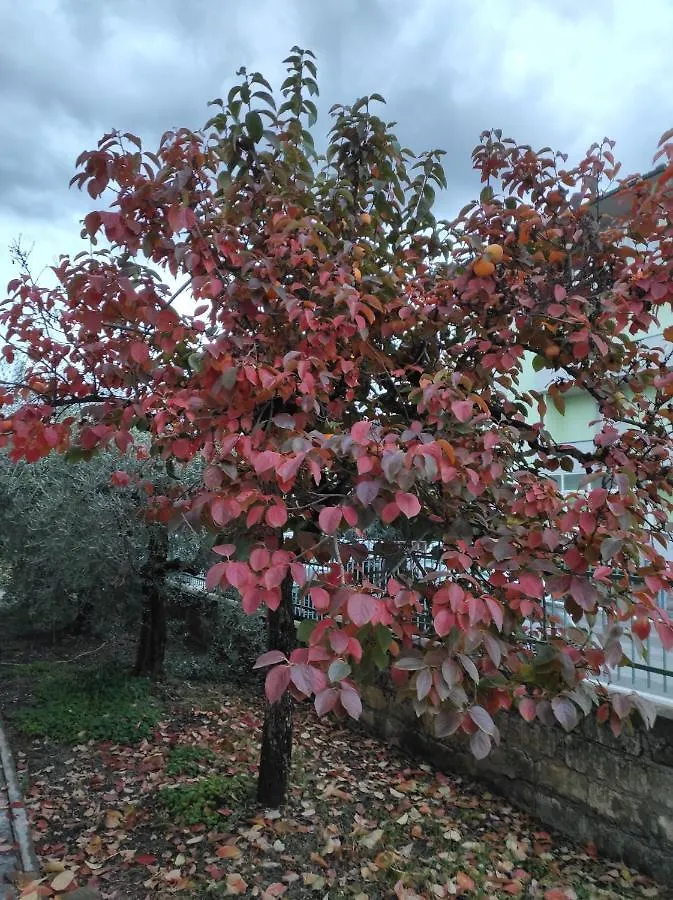 La Lenzerina Casa Indipendente Con Giardino Apartment Scarlino Homestay