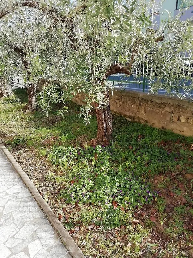 La Lenzerina Casa Indipendente Con Giardino Lejlighed Scarlino Privat bolig